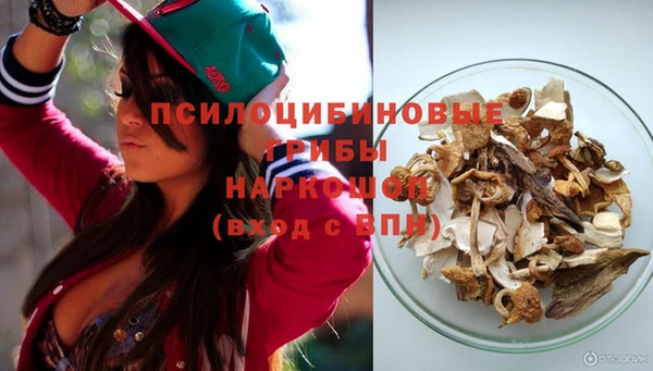 индика Пересвет